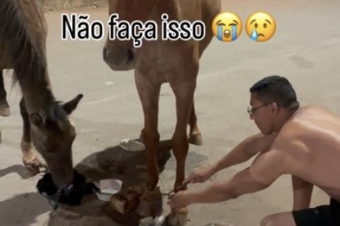 Denúncia de possível maus-tratos a cavalos revolta moradores no Itapoã