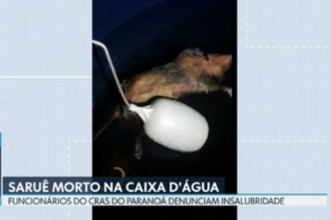 Funcionários denunciam condições insalubres no CRAS do Paranoá