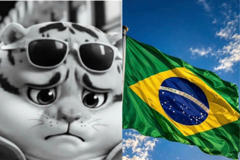 Bets são proibidas no Brasil; veja o que muda para os apostadores