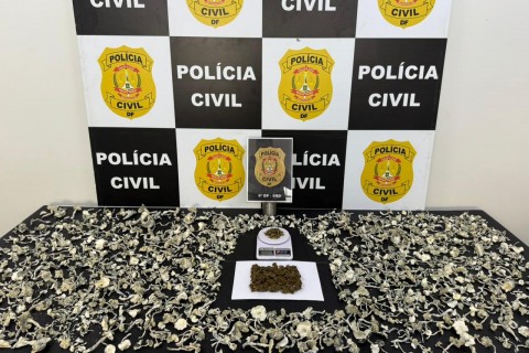 PCDF prende mulher e desarticula laboratório clandestino de cogumelos no Paranoá